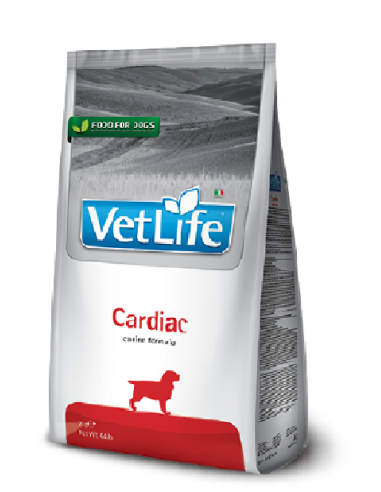 VETLIFE NATUTAL CANINE RENAL X 2KG