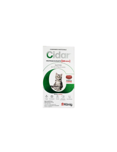 CIDAR GATOS — 1,5 A 3 KG