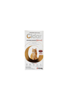 CIDAR GATOS — 3,1 A 6 KG