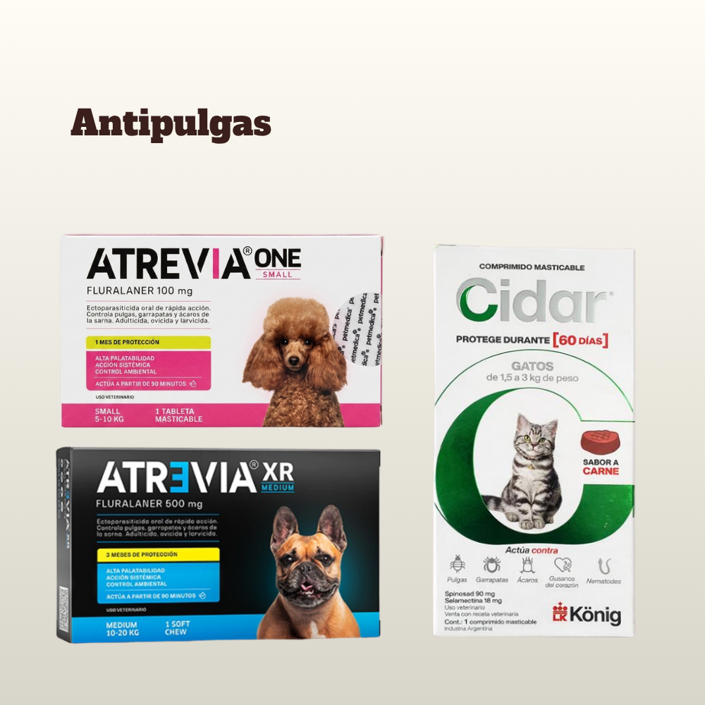 ANTIPULGAS